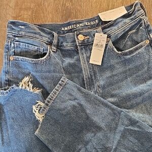 American Eagle Outfitters Distressed Blue Boyfriend Jeans